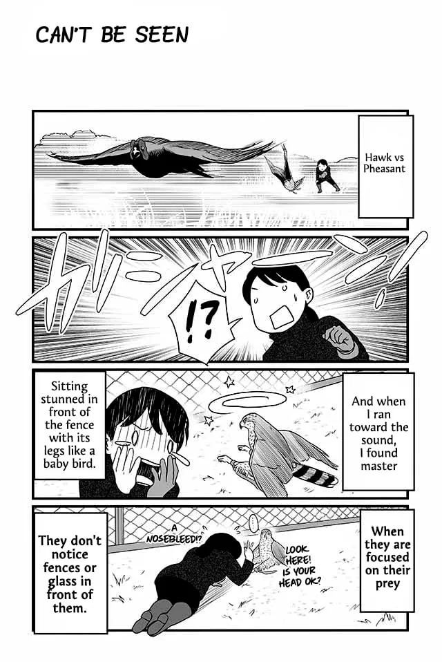 Hawk Master, It's Hunting Time! Chapter 12 page 2 - 