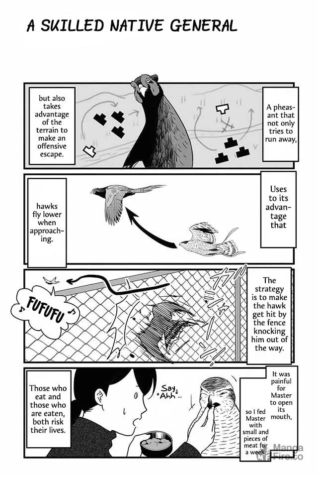 Hawk Master, It's Hunting Time! Chapter 12 page 3 - 
