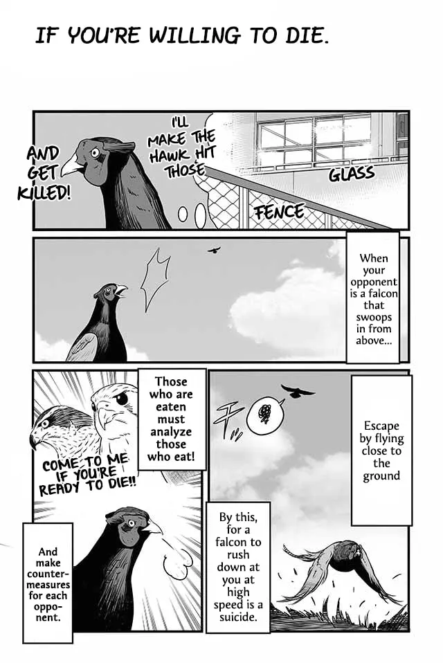 Hawk Master, It's Hunting Time! Chapter 12 page 4 - 