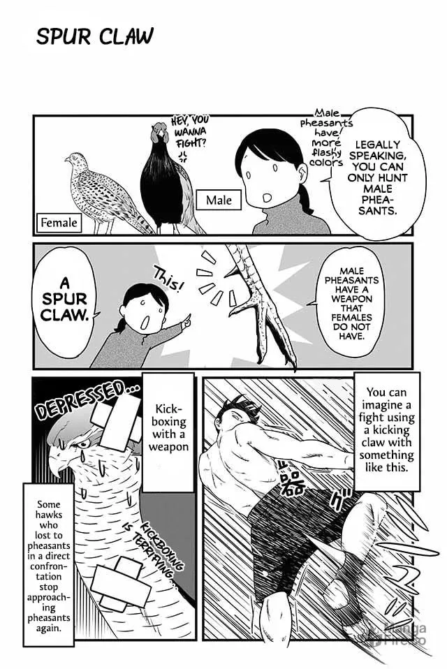 Hawk Master, It's Hunting Time! Chapter 12 page 5 - 