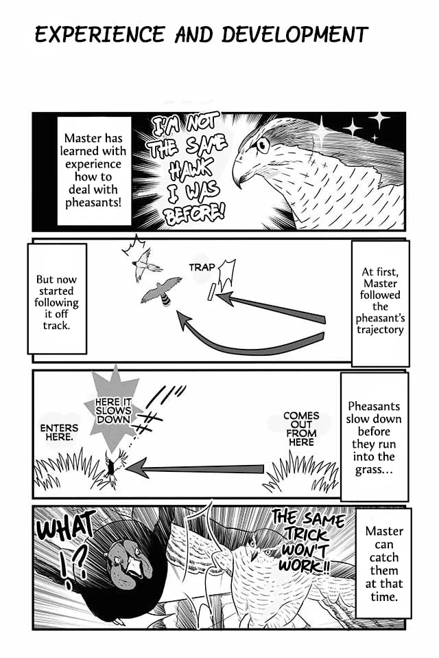 Hawk Master, It's Hunting Time! Chapter 12 page 7 - 