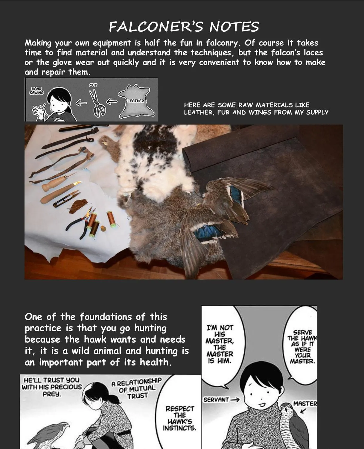 Hawk Master, It's Hunting Time! Chapter 3 page 3 - 