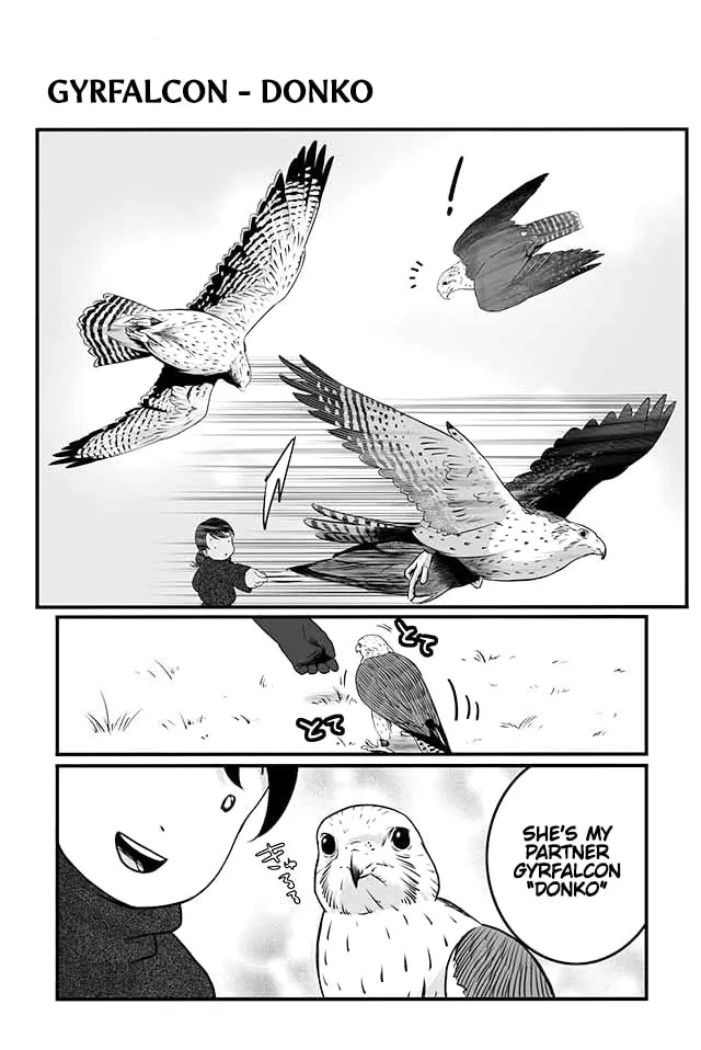 Hawk Master, It's Hunting Time! Chapter 4 page 2 - 