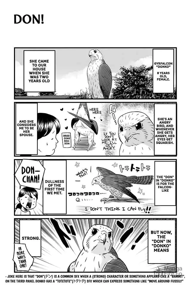 Hawk Master, It's Hunting Time! Chapter 4 page 10 - 