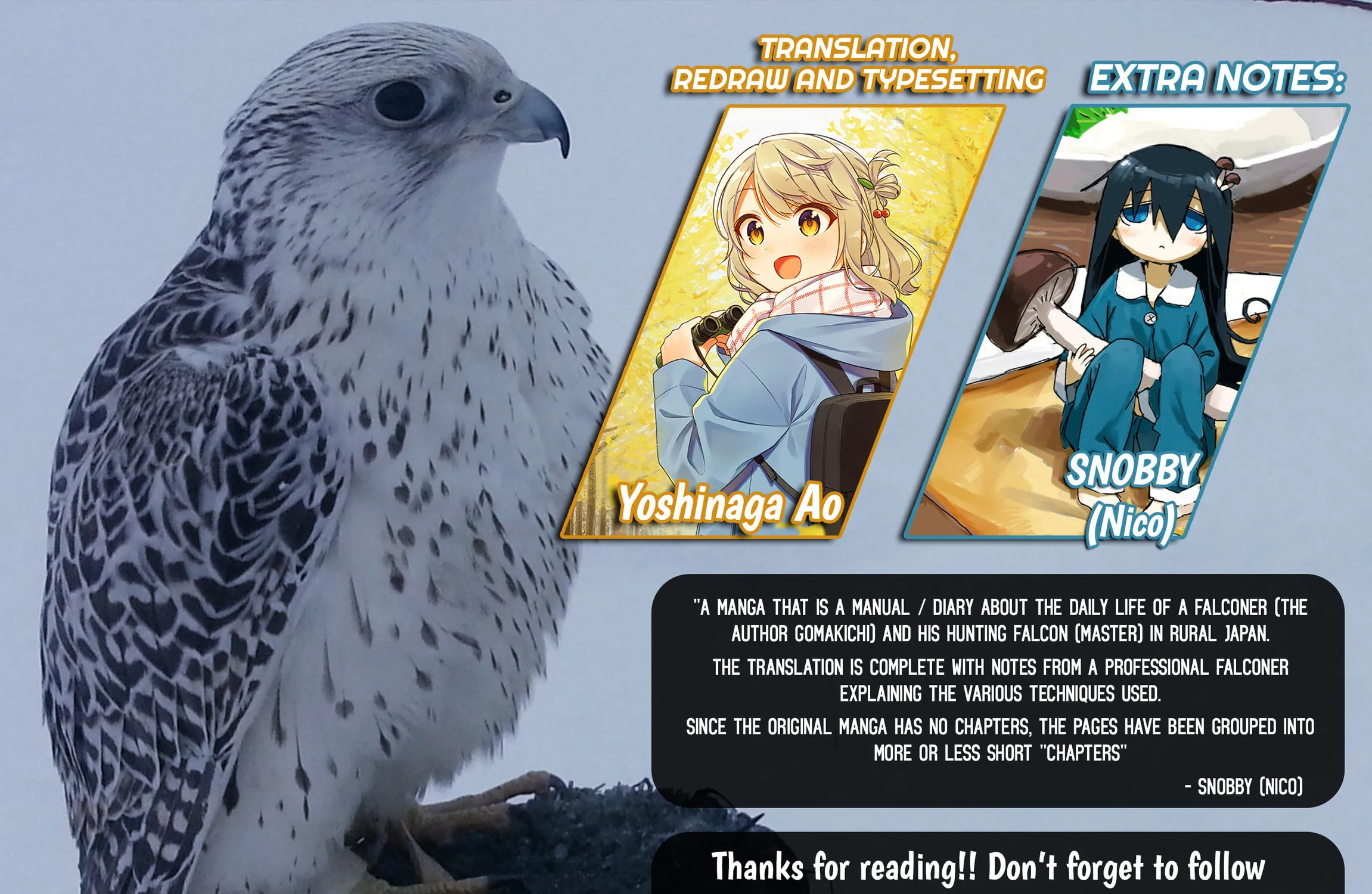 Hawk Master, It's Hunting Time! Chapter 5 page 17 - 