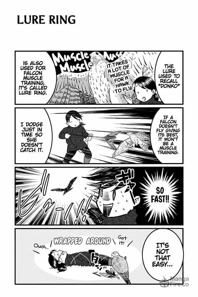 Hawk Master, It's Hunting Time! Chapter 5 page 3 - 