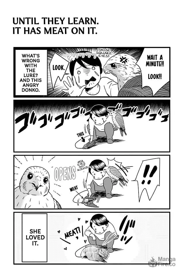 Hawk Master, It's Hunting Time! Chapter 5 page 5 - 