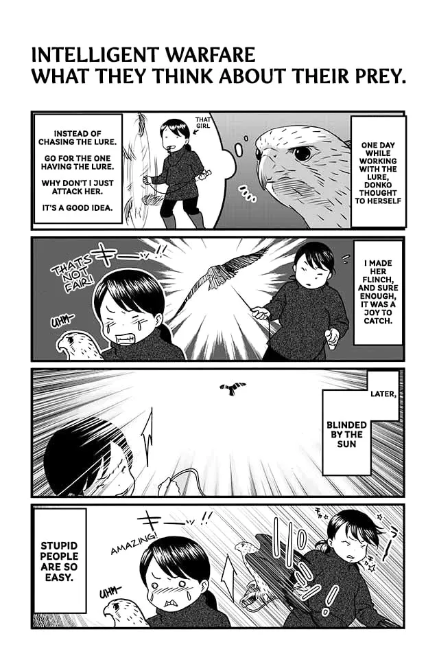 Hawk Master, It's Hunting Time! Chapter 5 page 8 - 