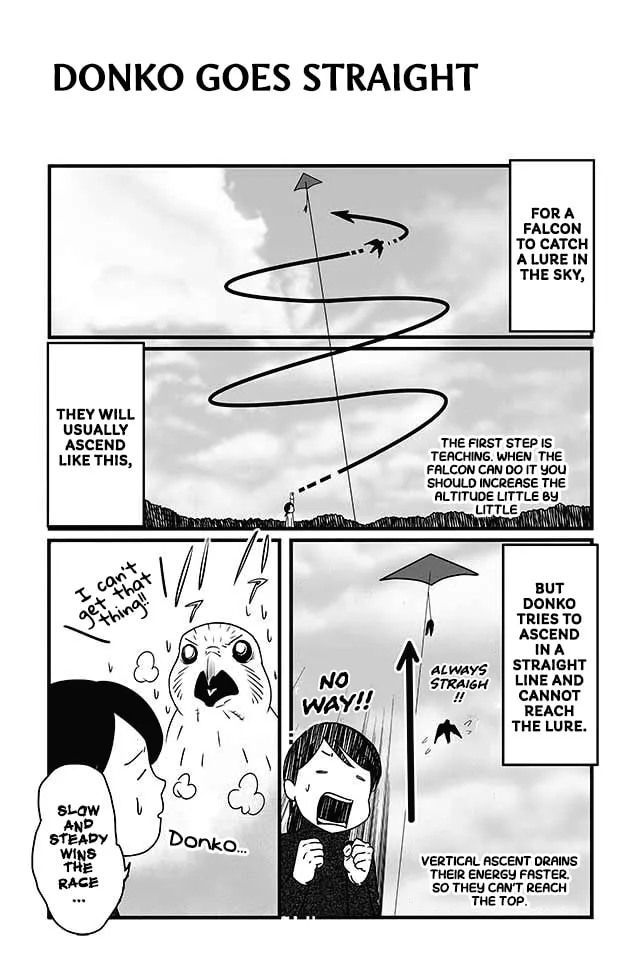 Hawk Master, It's Hunting Time! Chapter 6 page 2 - 