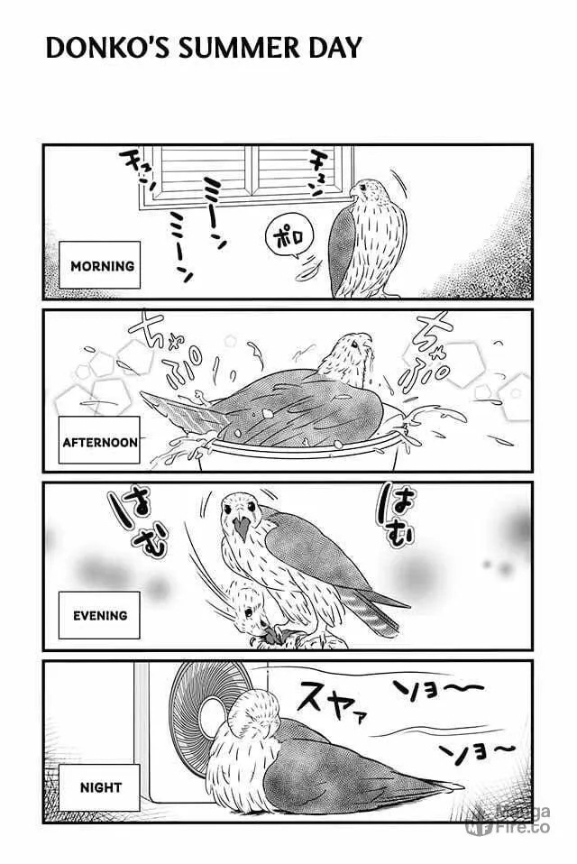 Hawk Master, It's Hunting Time! Chapter 7 page 5 - 