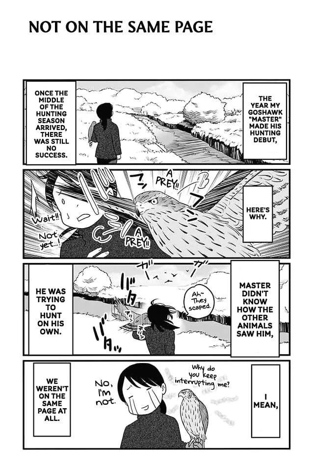 Hawk Master, It's Hunting Time! Chapter 8 page 1 - 