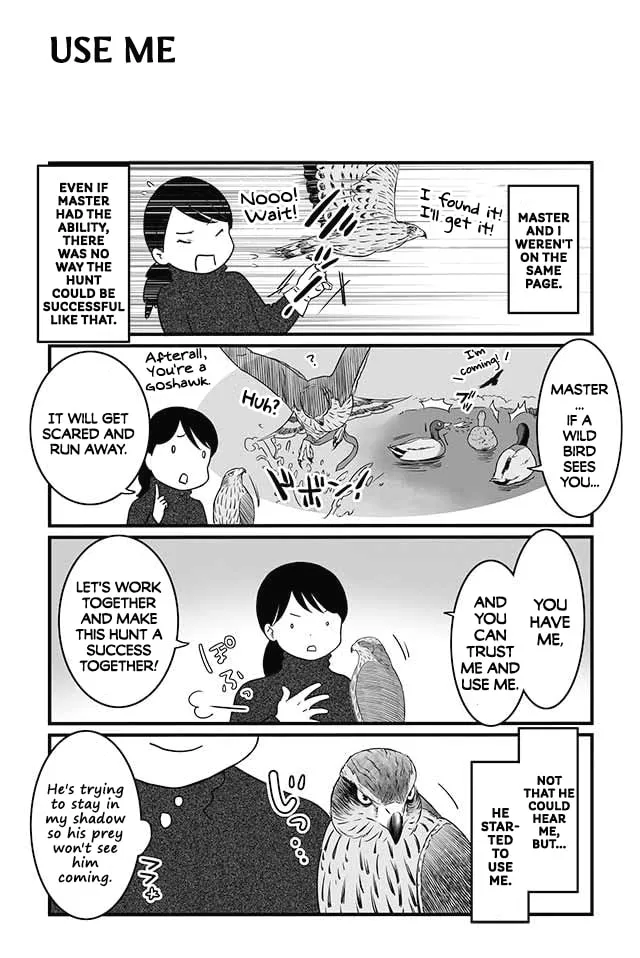 Hawk Master, It's Hunting Time! Chapter 8 page 2 - 