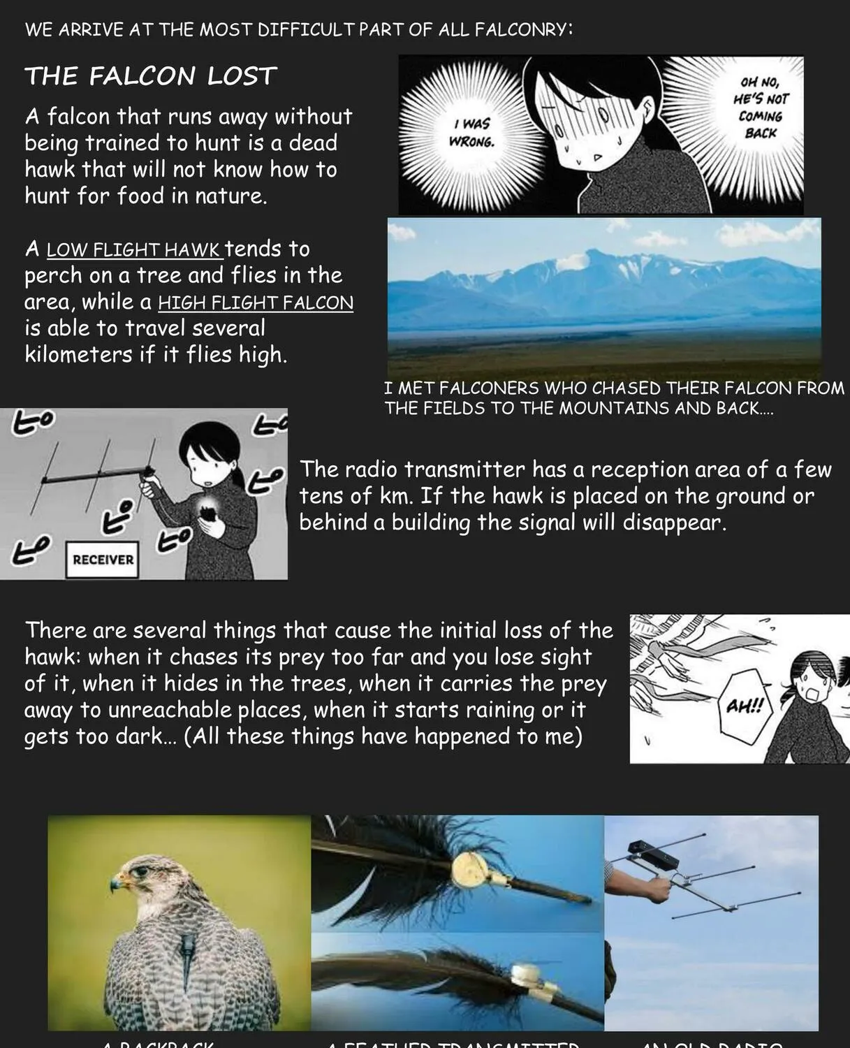 Hawk Master, It's Hunting Time! Chapter 8 page 14 - 