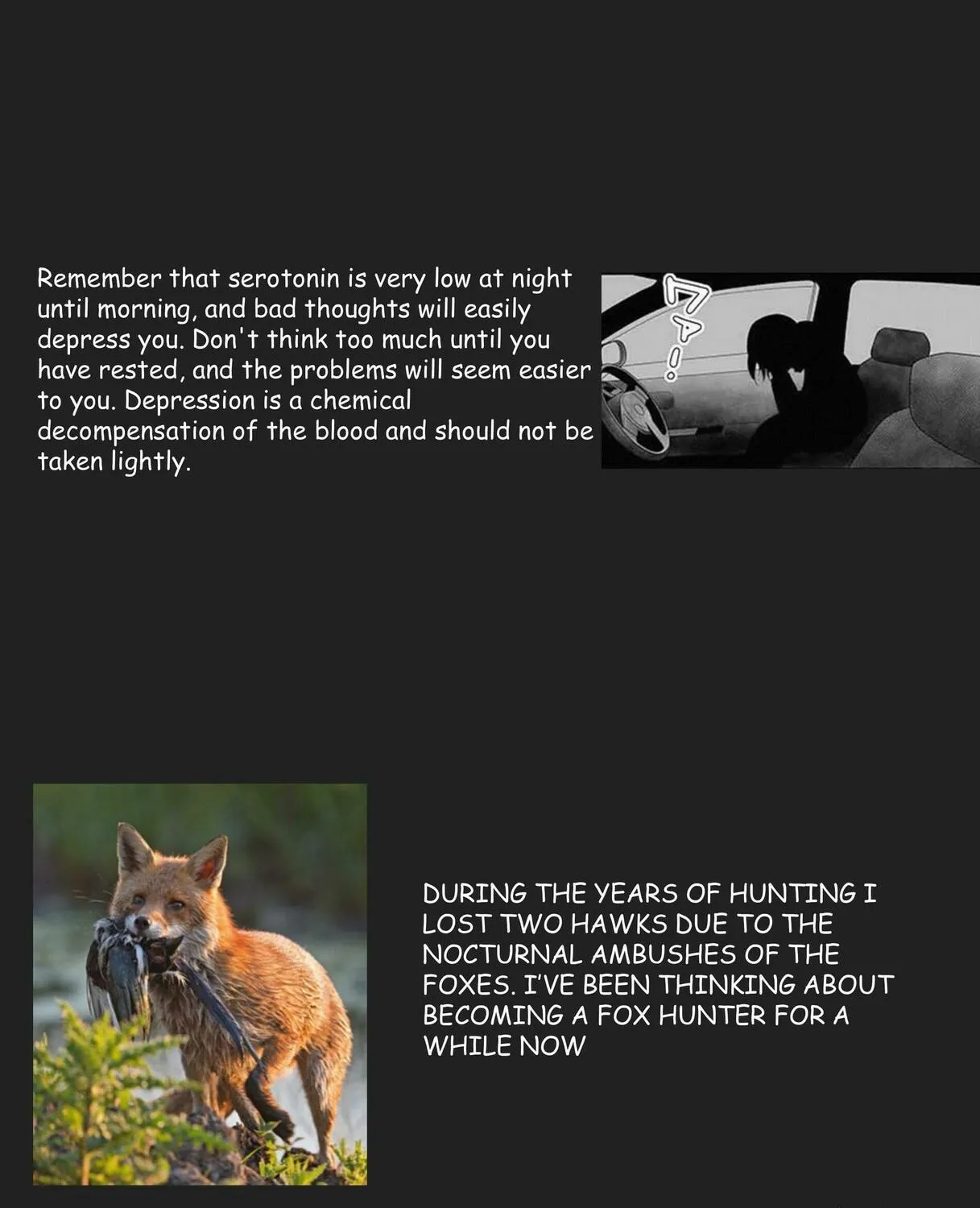 Hawk Master, It's Hunting Time! Chapter 8 page 18 - 