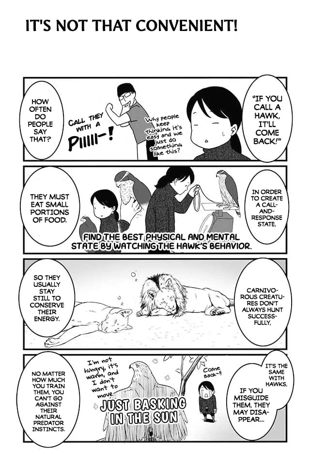 Hawk Master, It's Hunting Time! Chapter 8 page 4 - 