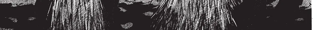 He is My Master Chapter 7 page 2 - 