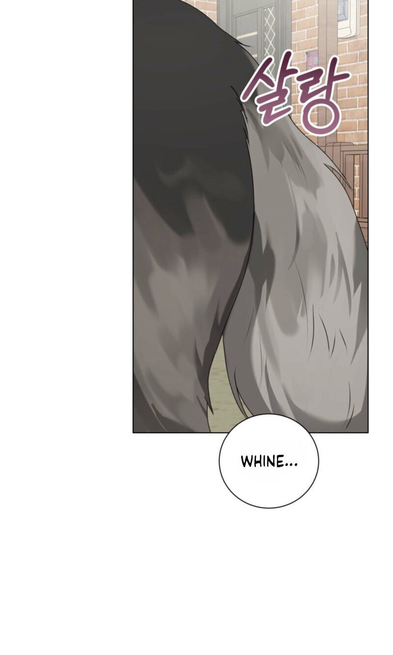 Alerte Bestiale Chapter 37 page 72 - 