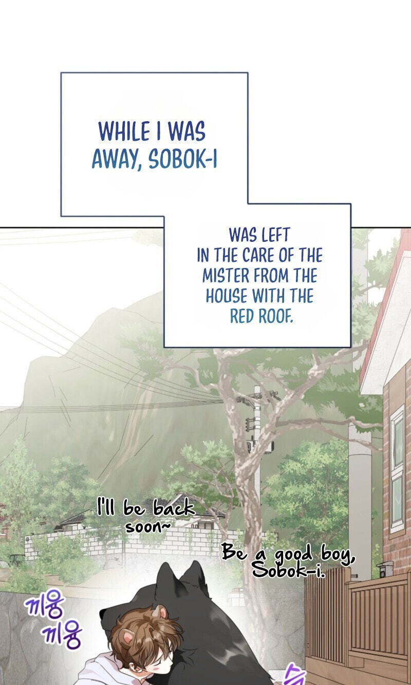 Alerte Bestiale Chapter 37 page 73 - 