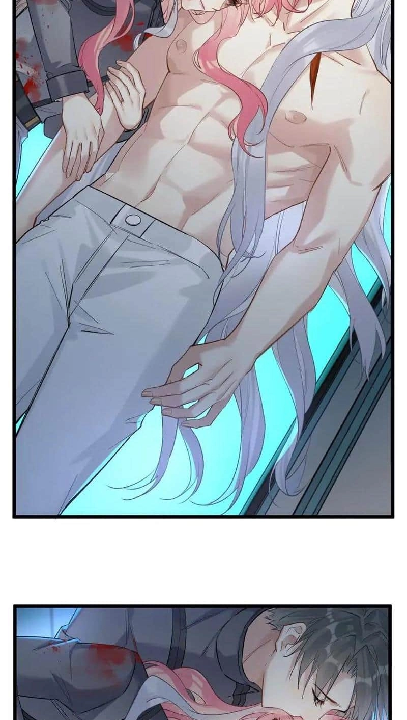 Head Over Heels Chapter 73 page 2 - 