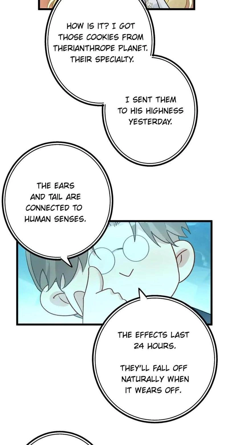 Head Over Heels Chapter 74 page 41 - 