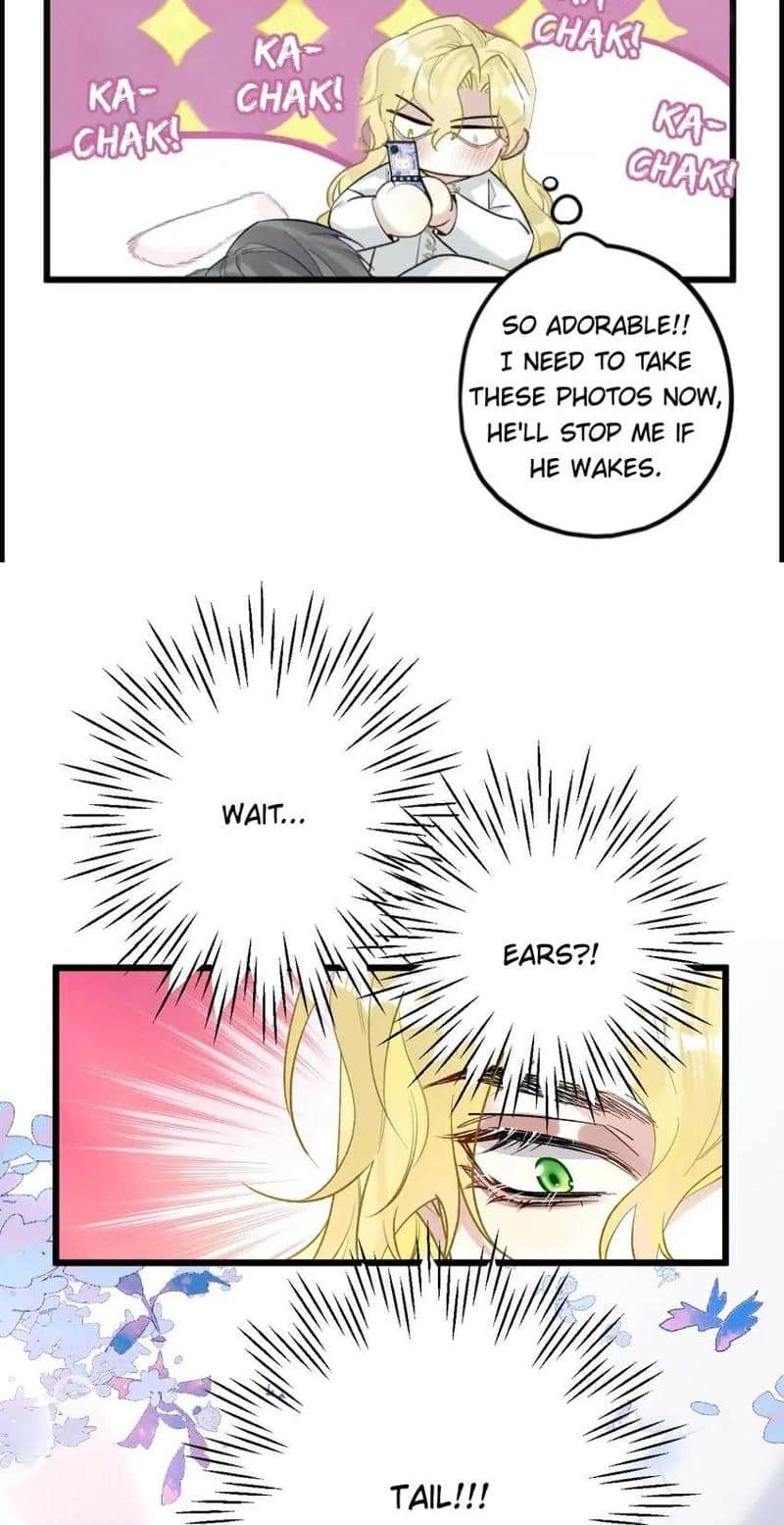 Head Over Heels Chapter 74 page 44 - 