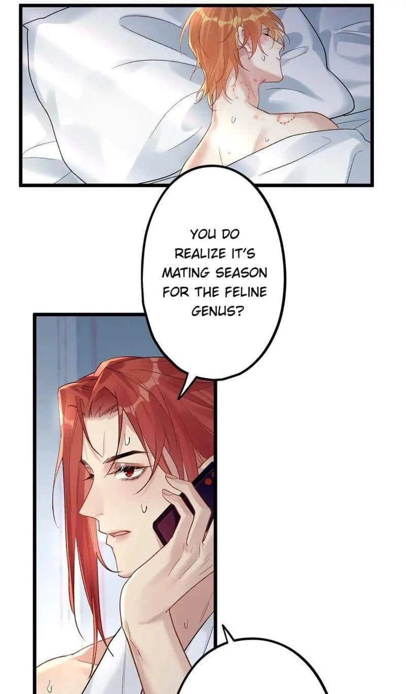 Head Over Heels Chapter 76 page 39 - 