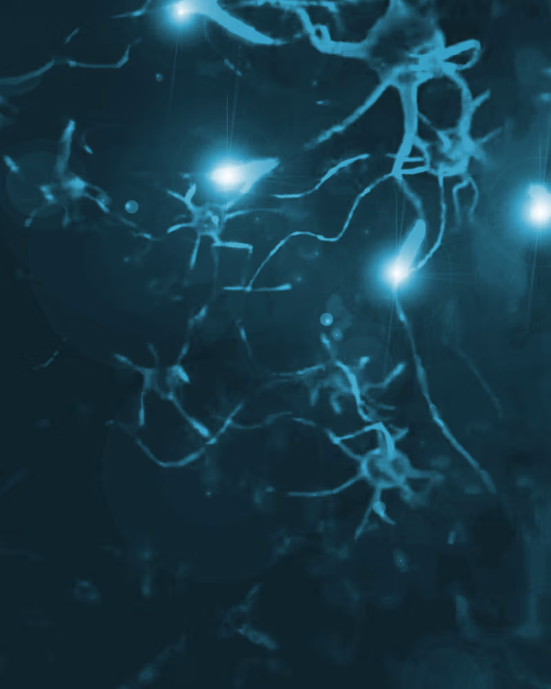 Heartwired Chapter 17.2 page 31 - 
