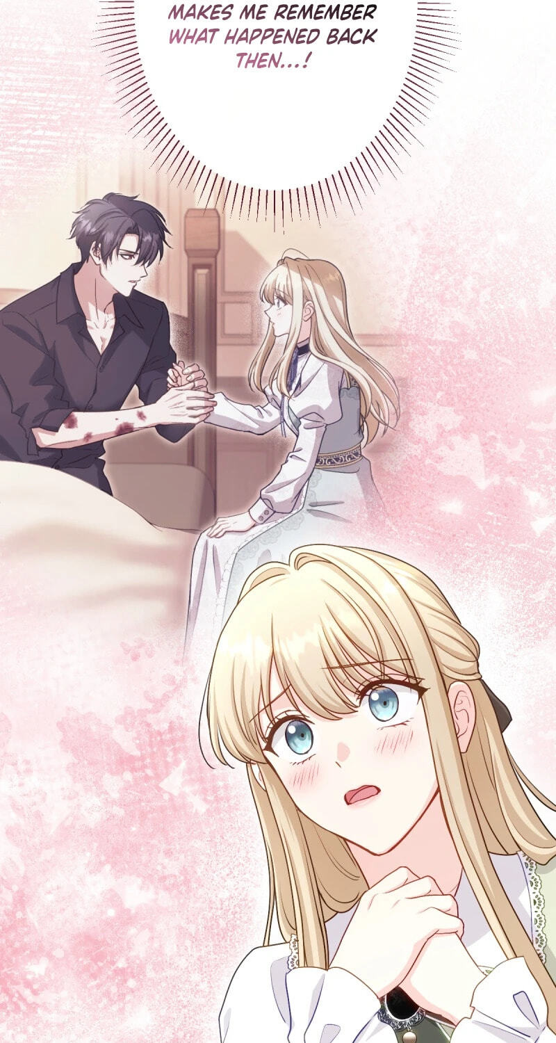 Heika, Risou no Joushi Sugimasu! Chapter 19 page 17 - 