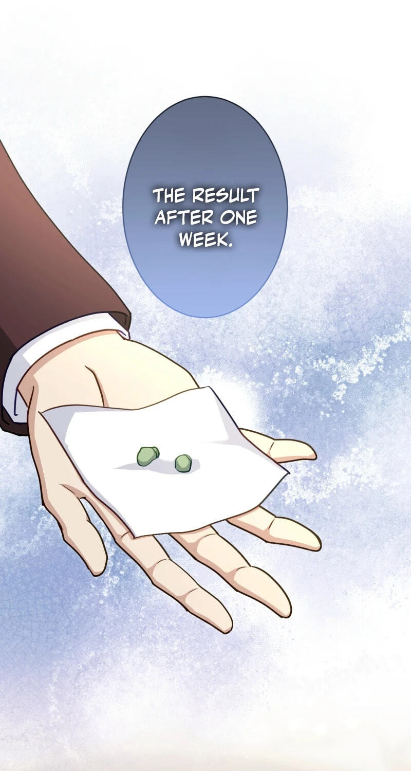Heika, Risou no Joushi Sugimasu! Chapter 21 page 13 - 