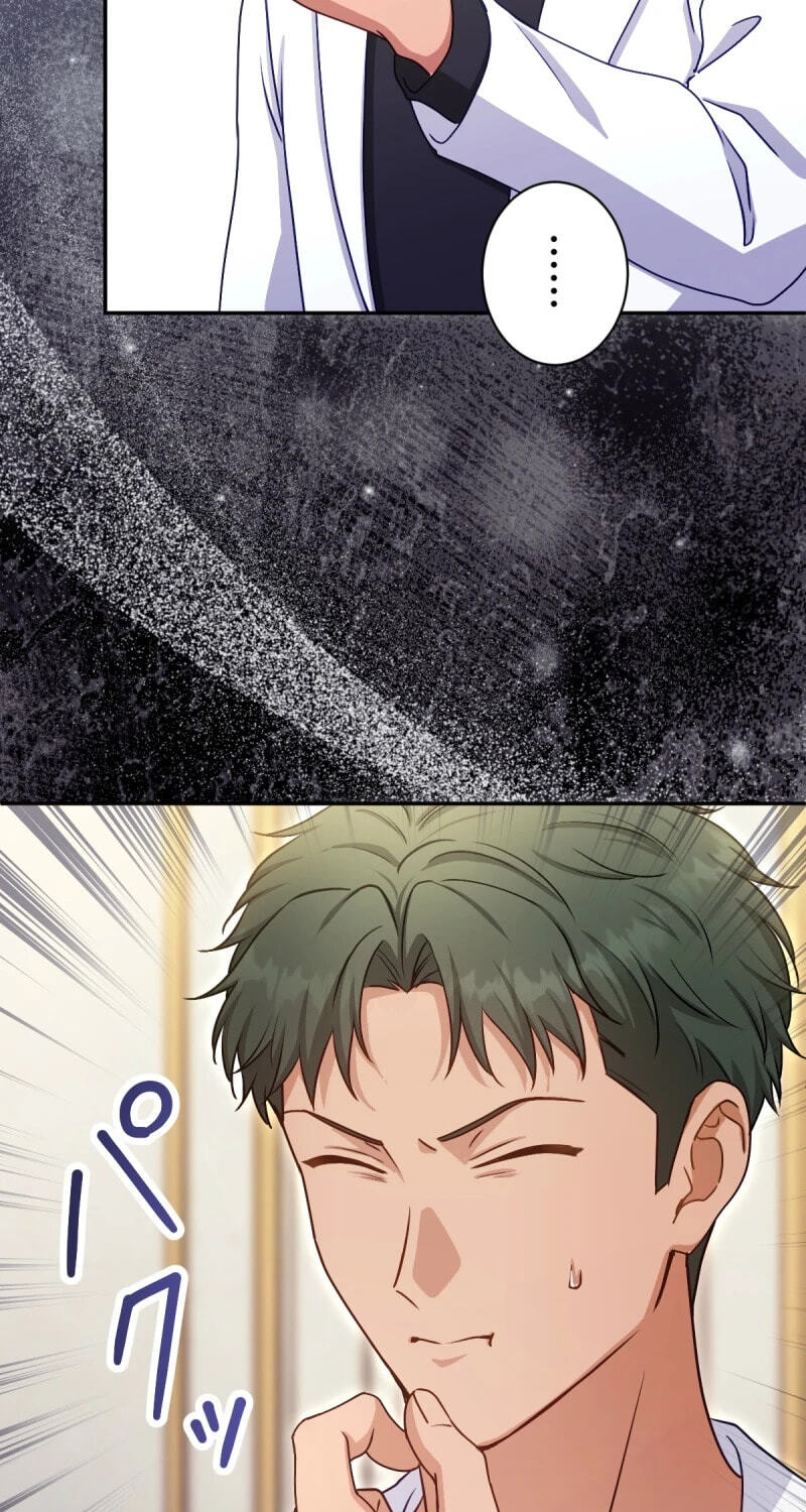Heika, Risou no Joushi Sugimasu! Chapter 21 page 25 - 