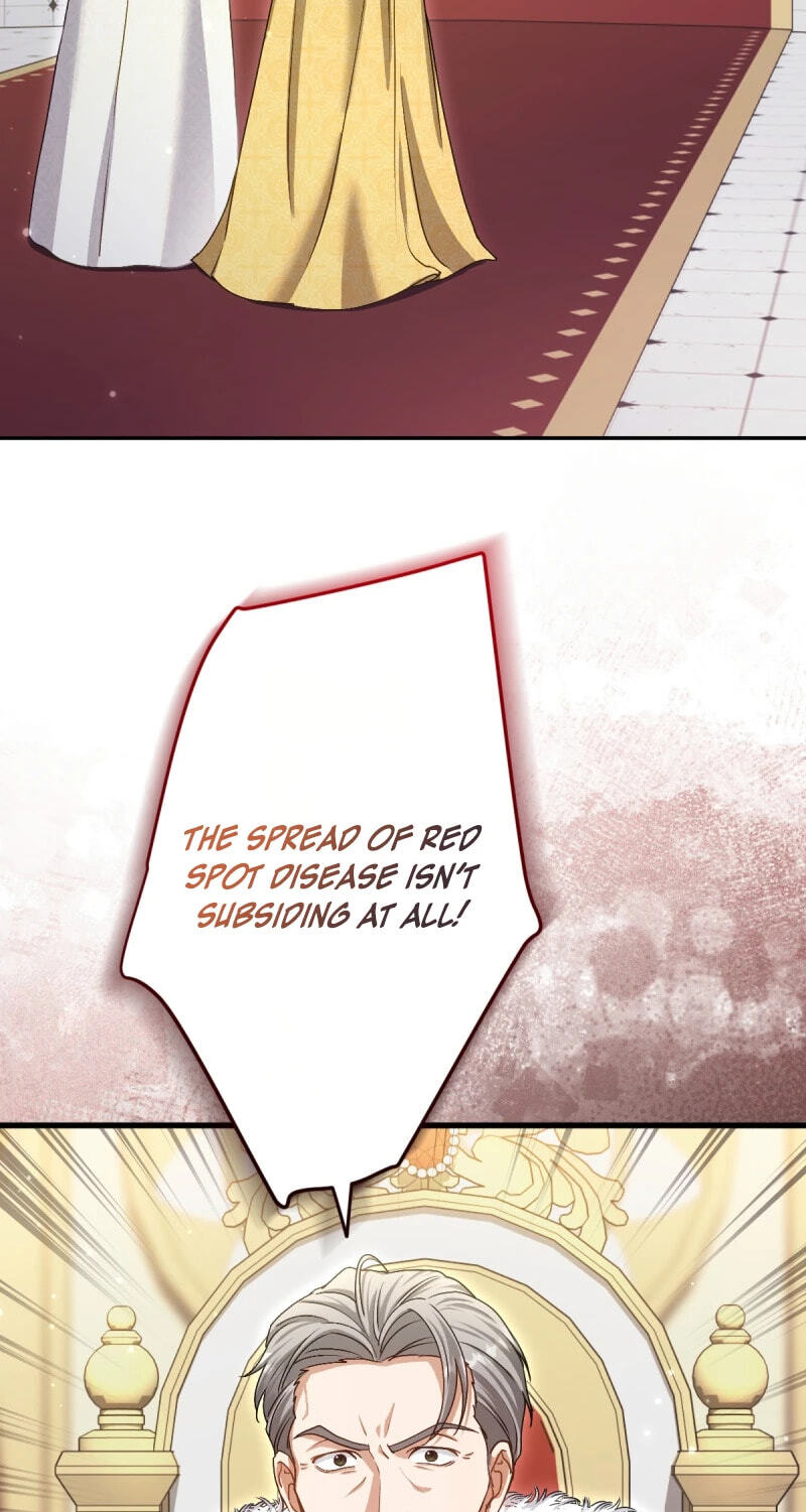 Heika, Risou no Joushi Sugimasu! Chapter 21 page 61 - 