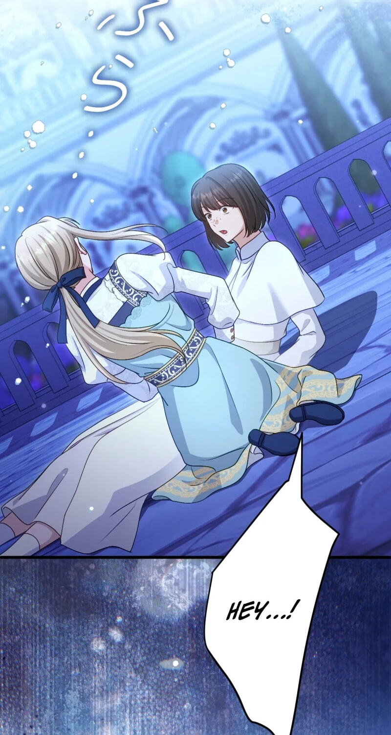 Heika, Risou no Joushi Sugimasu! Chapter 24 page 25 - 