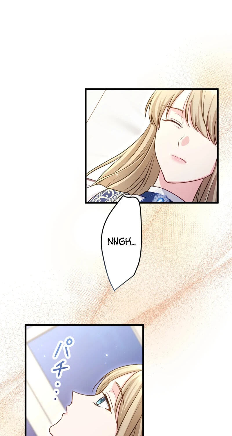 Heika, Risou no Joushi Sugimasu! Chapter 24 page 31 - 