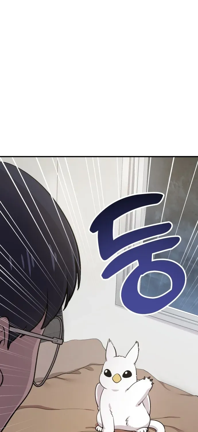 Hello, Fluffy Griffin! Chapter 1 page 12 - 