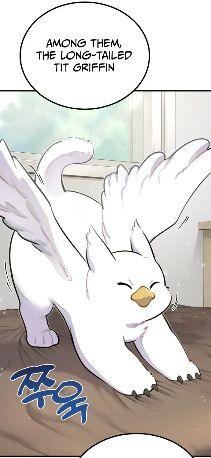 Hello, Fluffy Griffin! Chapter 1 page 25 - 