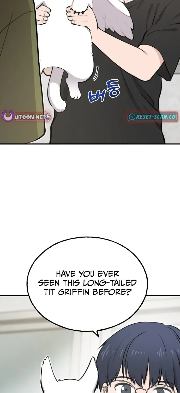 Hello, Fluffy Griffin! Chapter 1 page 52 - 