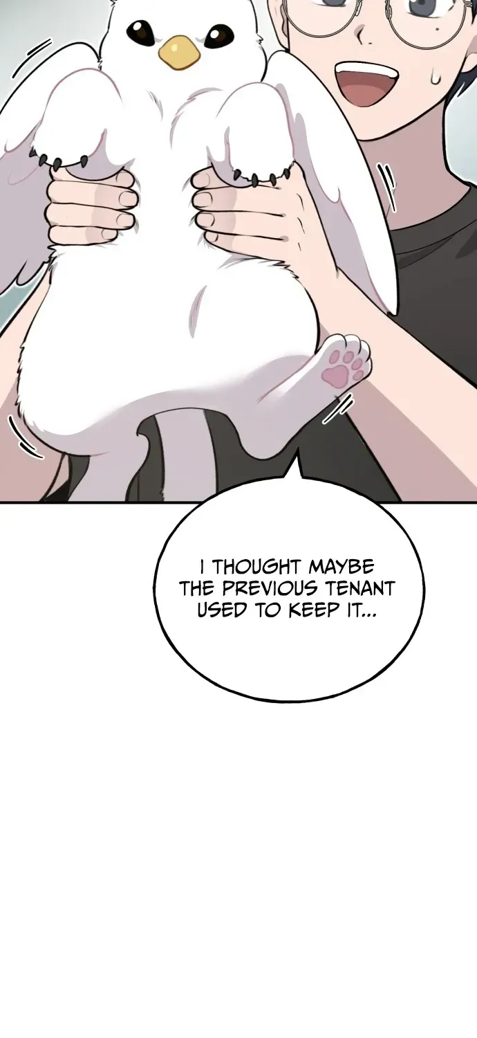 Hello, Fluffy Griffin! Chapter 1 page 53 - 