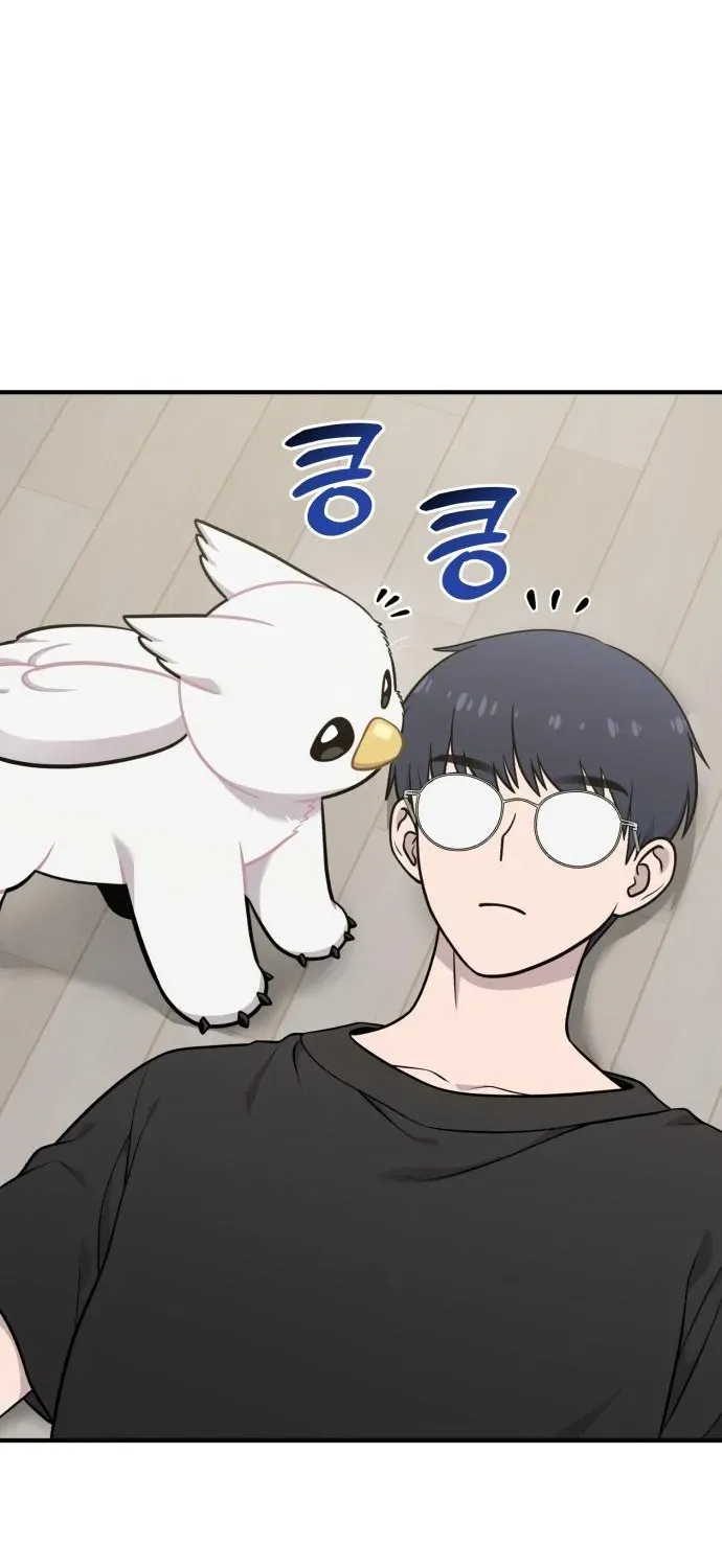 Hello, Fluffy Griffin! Chapter 17 page 26 - 