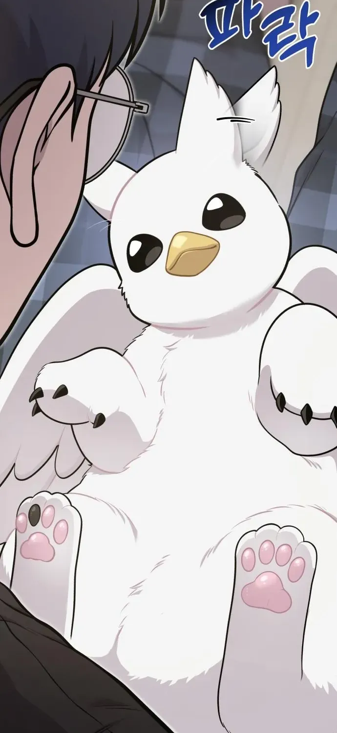 Hello, Fluffy Griffin! Chapter 17 page 37 - 