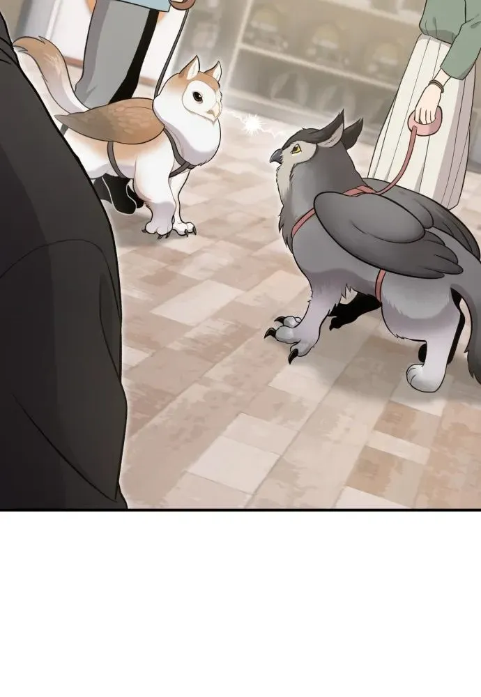 Hello, Fluffy Griffin! Chapter 17 page 56 - 