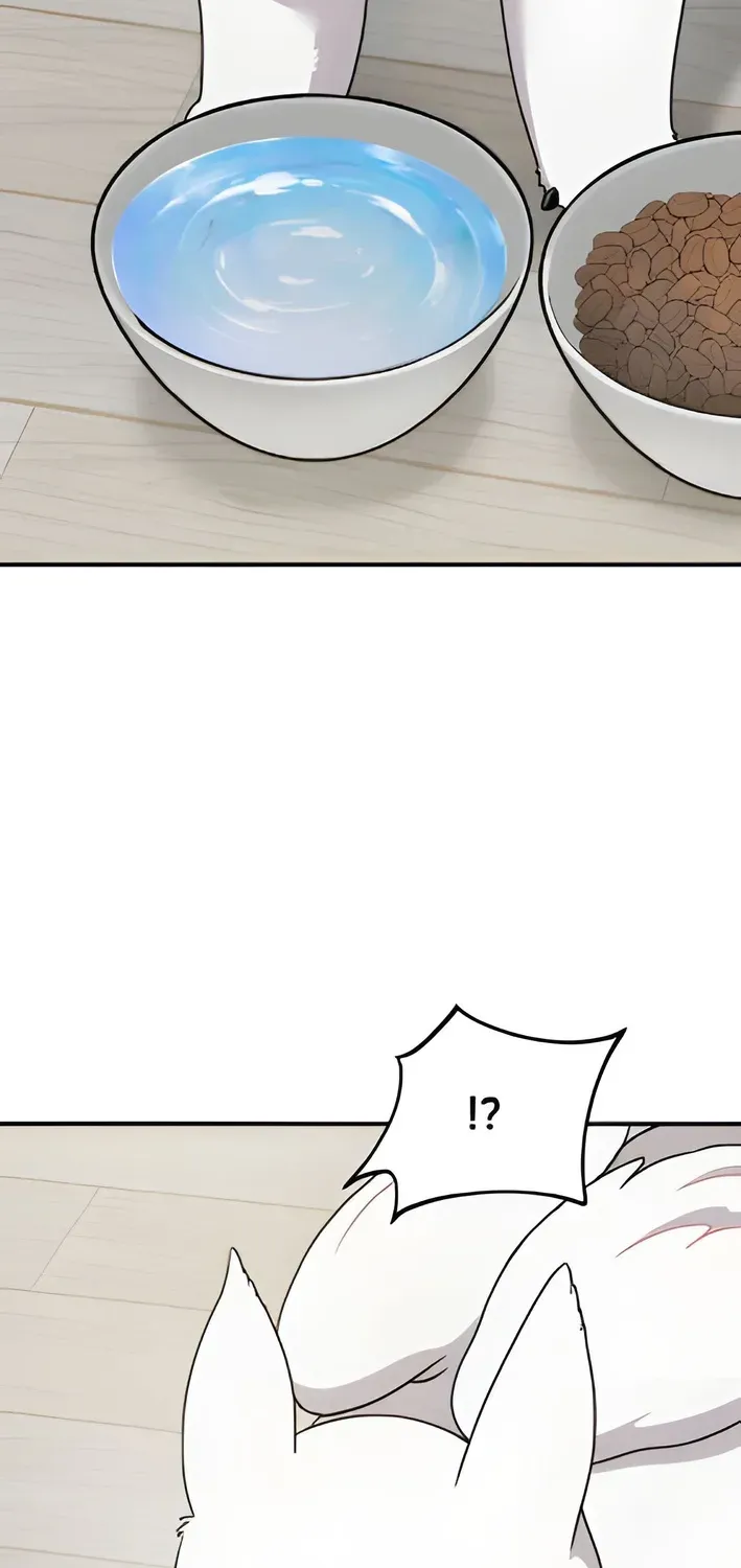 Hello, Fluffy Griffin! Chapter 2 page 57 - 