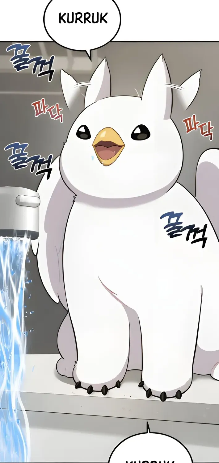 Hello, Fluffy Griffin! Chapter 2 page 66 - 
