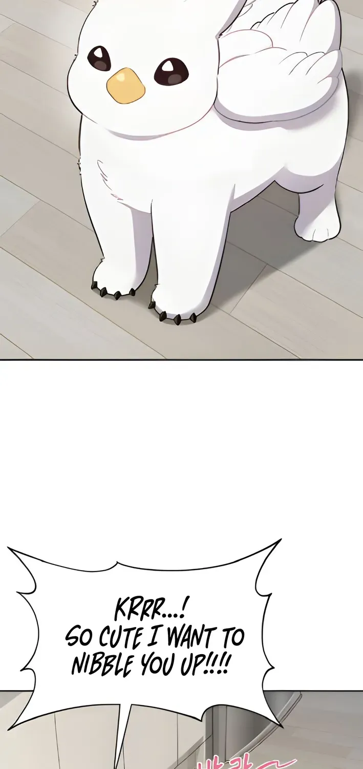 Hello, Fluffy Griffin! Chapter 3 page 29 - 