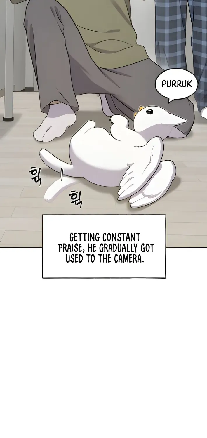 Hello, Fluffy Griffin! Chapter 3 page 51 - 