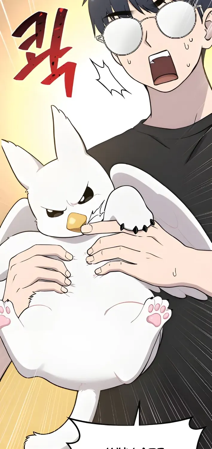 Hello, Fluffy Griffin! Chapter 4 page 18 - 