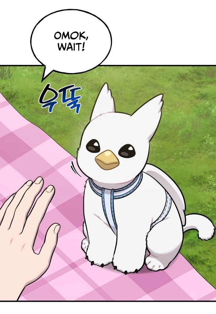 Hello, Fluffy Griffin! Chapter 45 page 25 - 