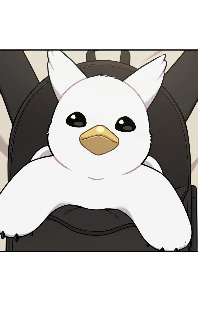 Hello, Fluffy Griffin! Chapter 48 page 11 - 