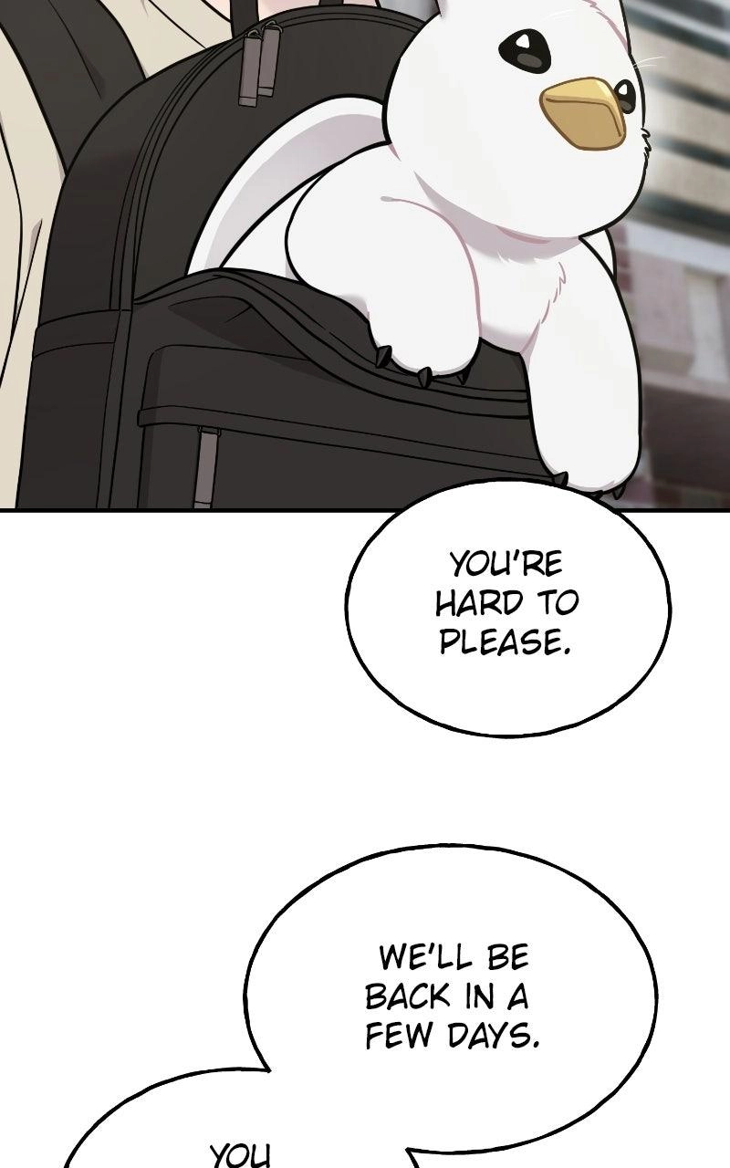 Hello, Fluffy Griffin! Chapter 48 page 15 - 