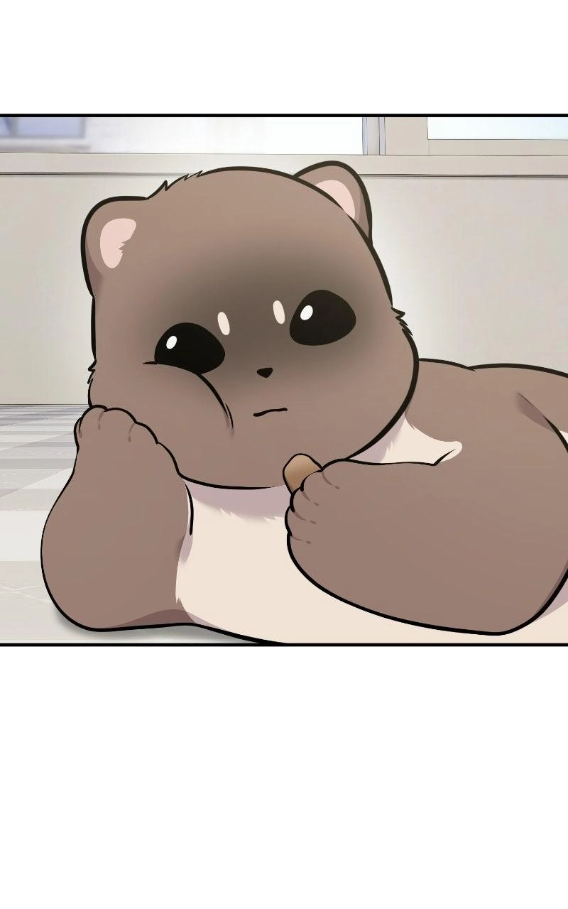 Hello, Fluffy Griffin! Chapter 48 page 4 - 