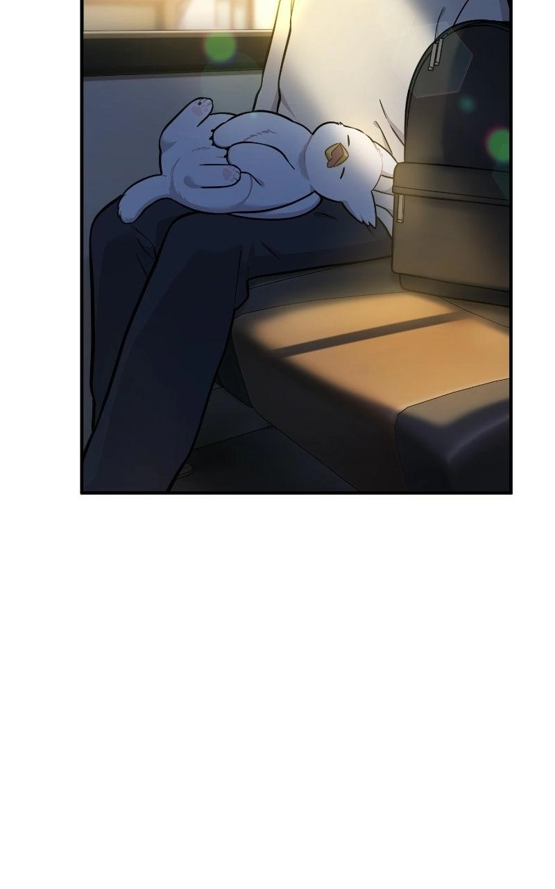 Hello, Fluffy Griffin! Chapter 48 page 37 - 